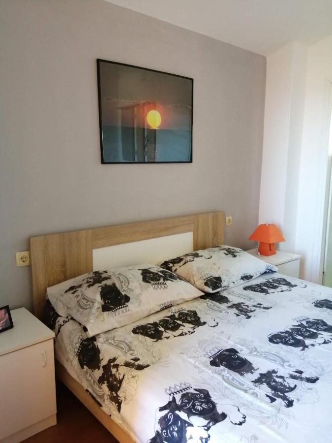 Apartmani A&N Bibinje Esterno foto