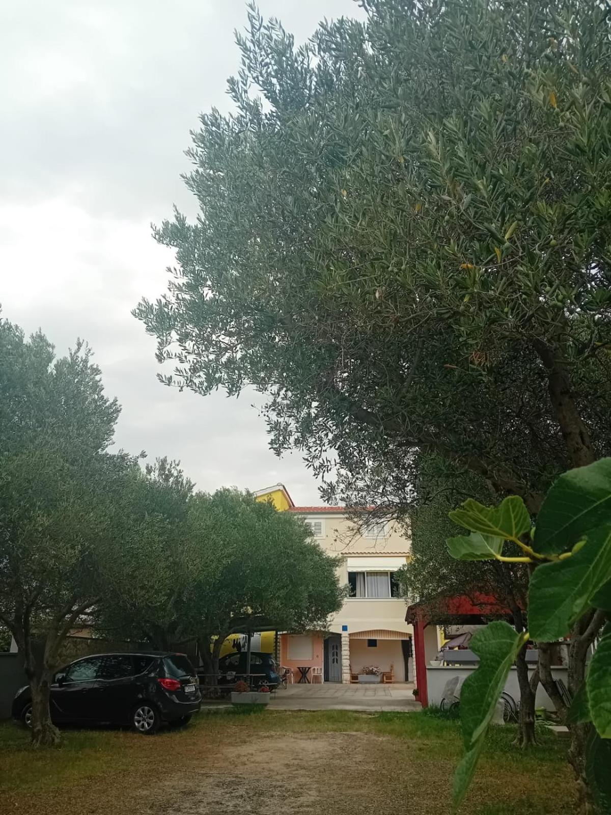 Apartmani A&N Bibinje Esterno foto